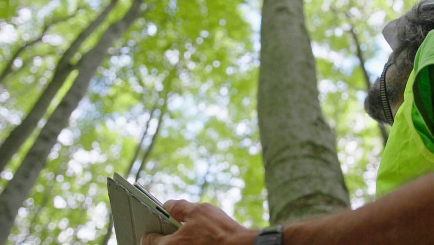 Strengthening ESG Performance with the Power of AI